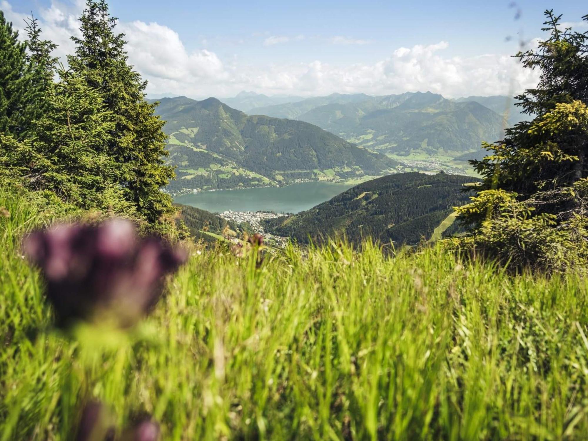 Gaestehaus Bleiweis-Zehentner เซลล์อัมเซ ภายนอก รูปภาพ